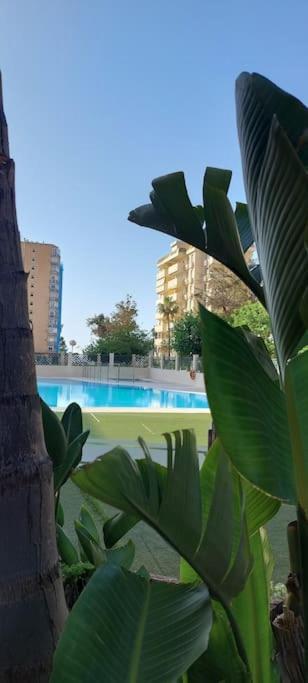 דירות בנאלמדנה Elegante Alojamiento Con Piscina A 200 M Del Mar. מראה חיצוני תמונה